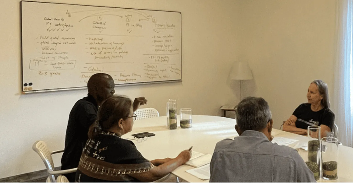 Representatives of their fields as active co-creators of a shared vision